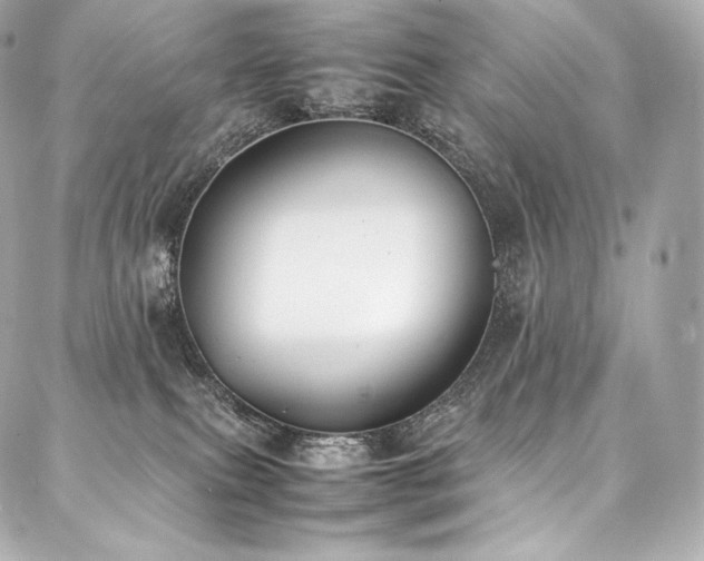 X0000088150087200705141559