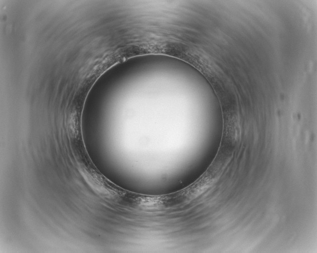 X0000088150088200705141559