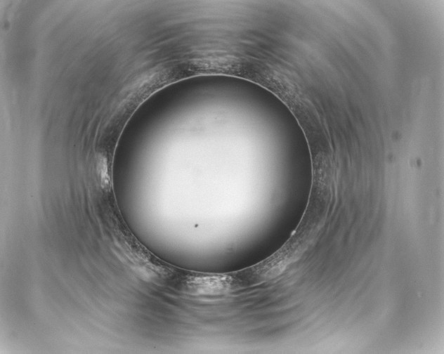 X0000088150089200705141559