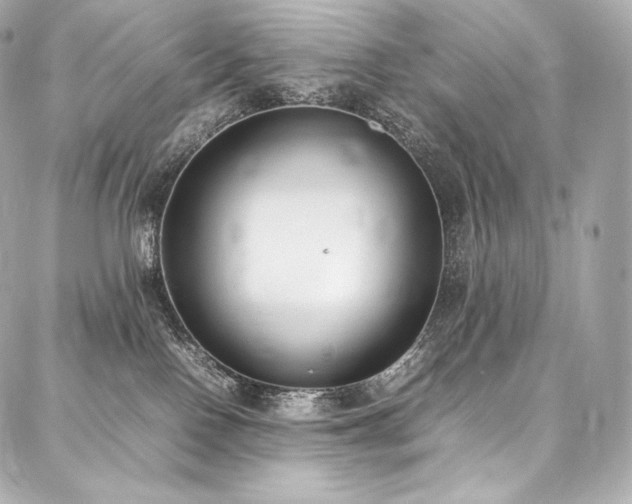 X0000088150090200705141559