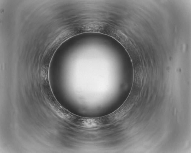 X0000088150091200705141559