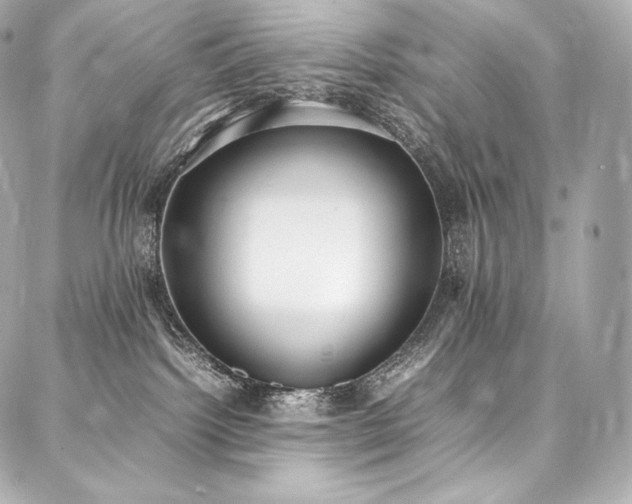 X0000088150092200705141559