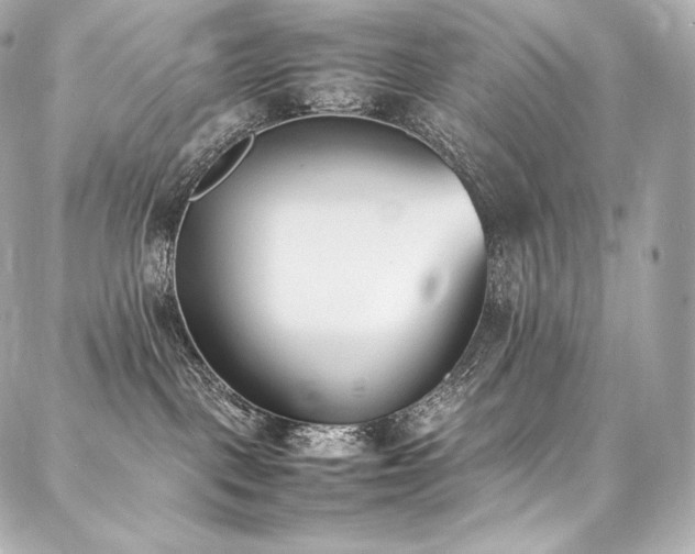 X0000088150093200705141559