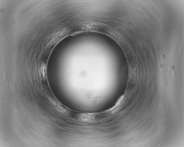 X0000088150094200705141559