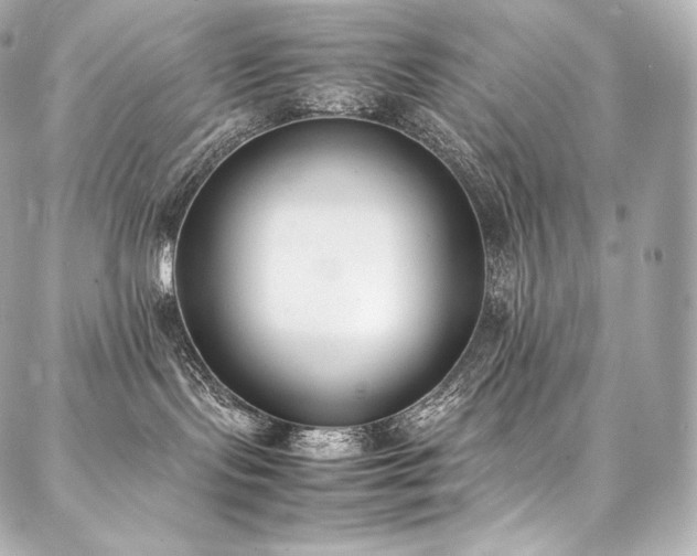 X0000088150095200705141559