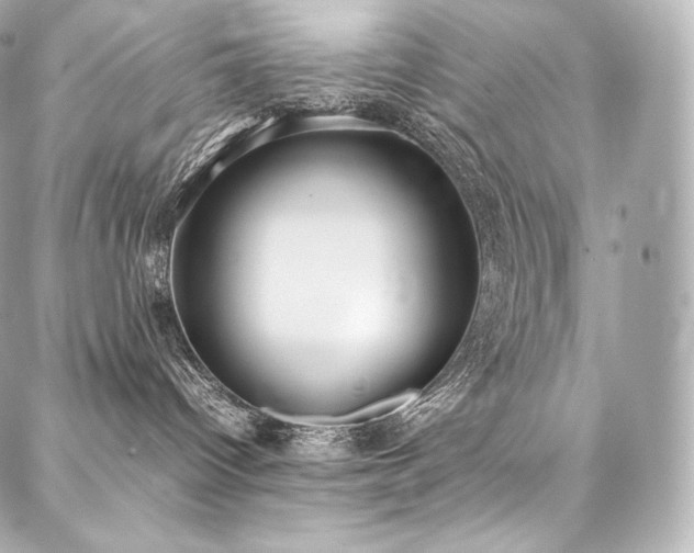 X0000088150096200705141559