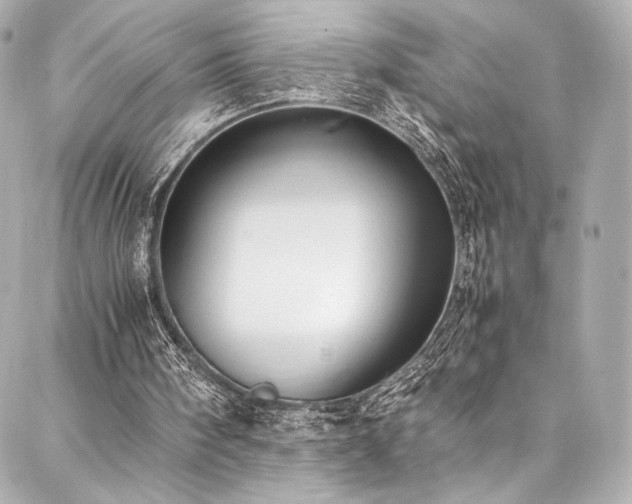 X0000088150098200705141558