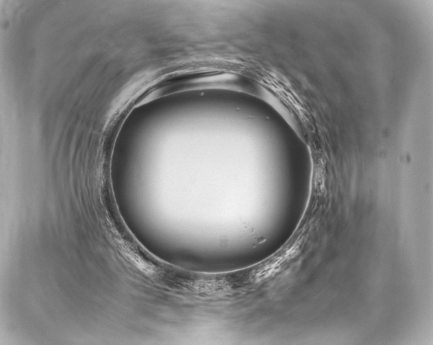 X0000088150101200705141558