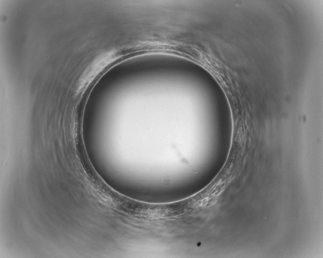 X0000088150103200705141558