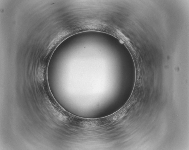 X0000088150106200705141558