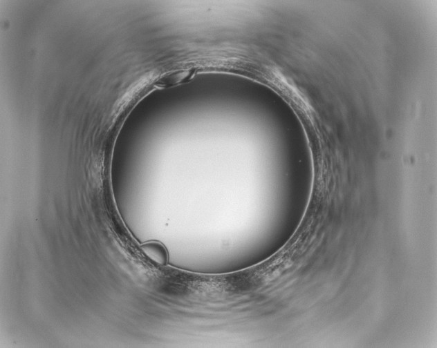 X0000088150107200705141558