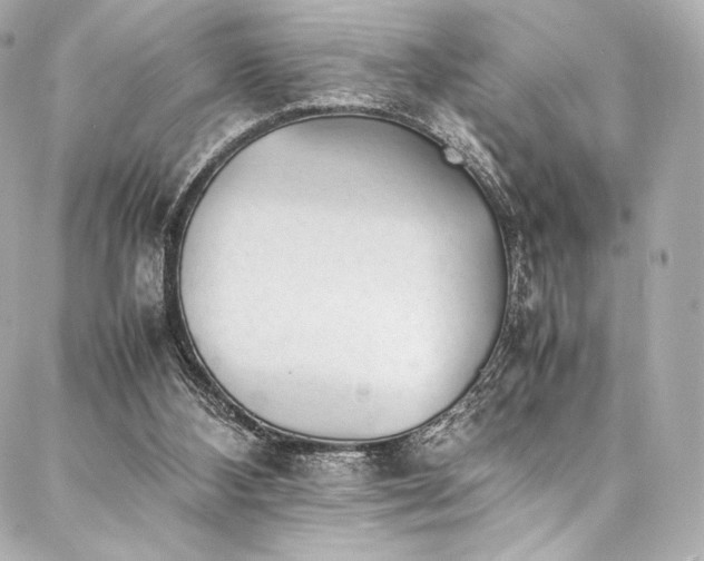 X0000088150108200705141558