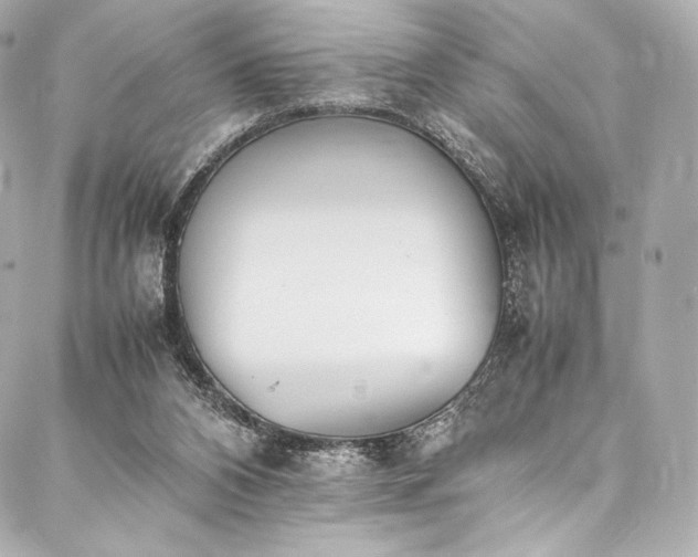 X0000088150112200705141558