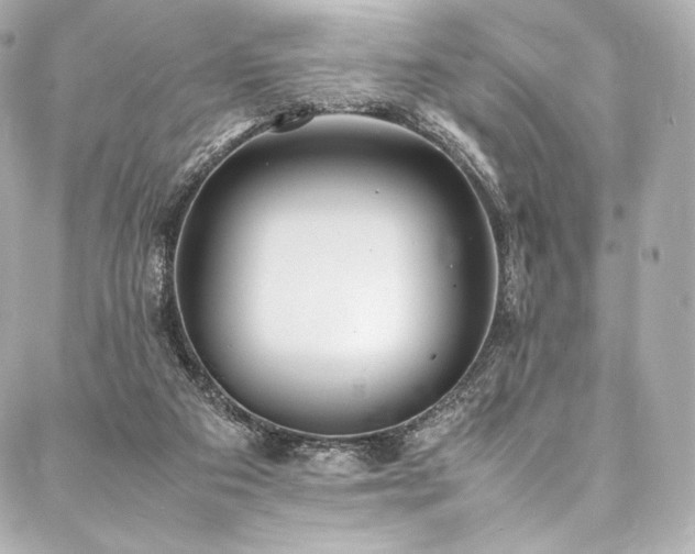 X0000088150113200705141558