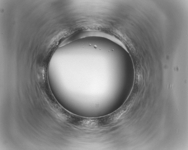 X0000088150117200705141558