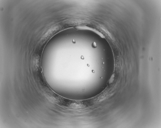 X0000088150119200705141558