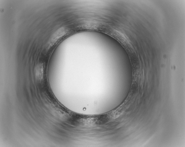 X0000088150120200705141558