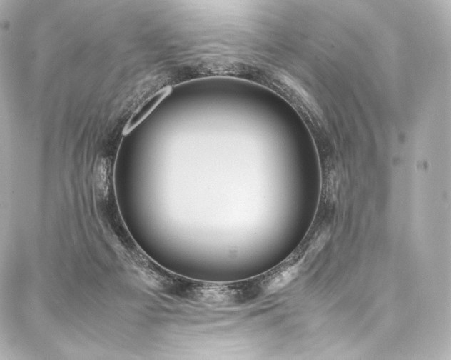 X0000088150121200705141558