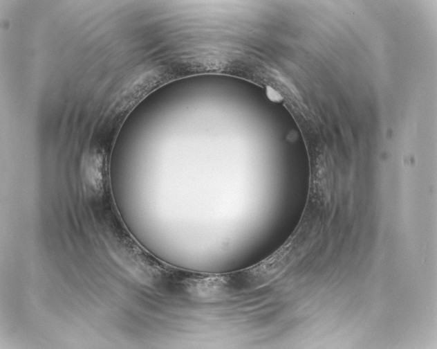 X0000088150122200705141558