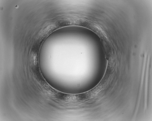 X0000088150123200705141558