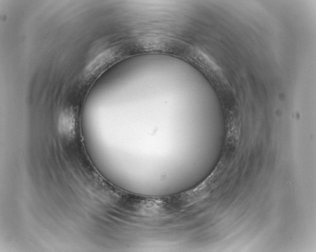 X0000088150124200705141558