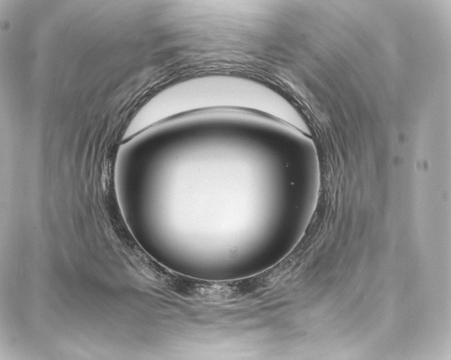 X0000088150125200705141558