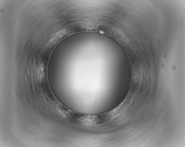 X0000088150128200705141558