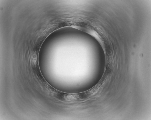 X0000088150129200705141558