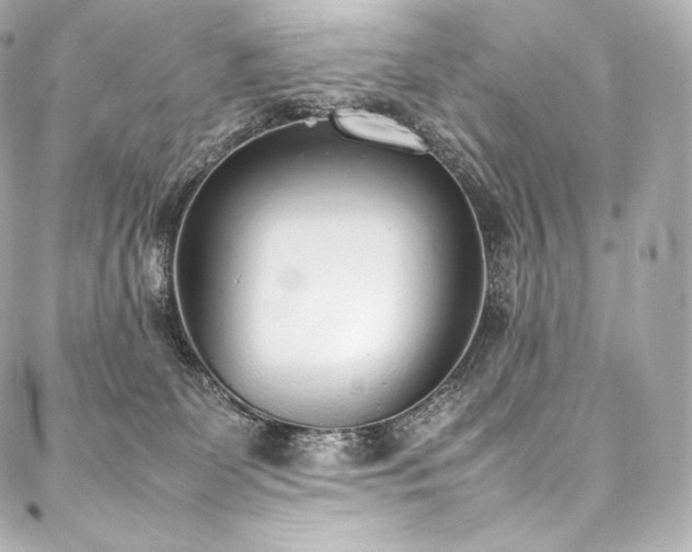 X0000088150131200705141558