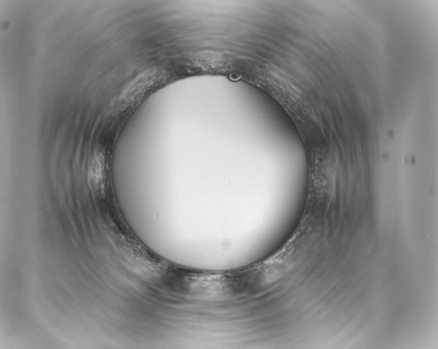 X0000088150132200705141558