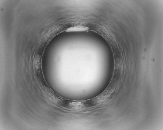 X0000088150133200705141558