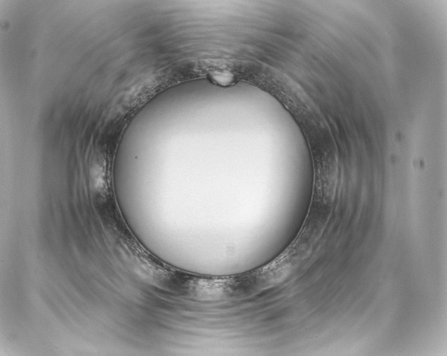 X0000088150134200705141558