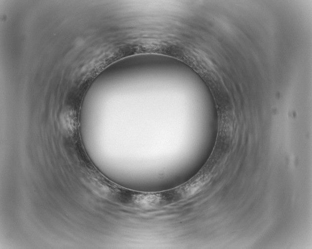 X0000088150135200705141558