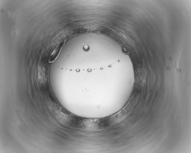 X0000088150136200705141558