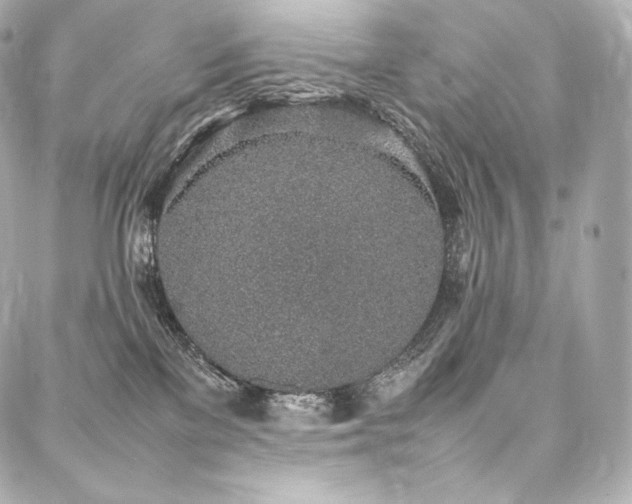 X0000088150137200705141558