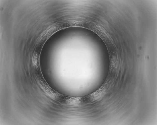 X0000088150138200705141558