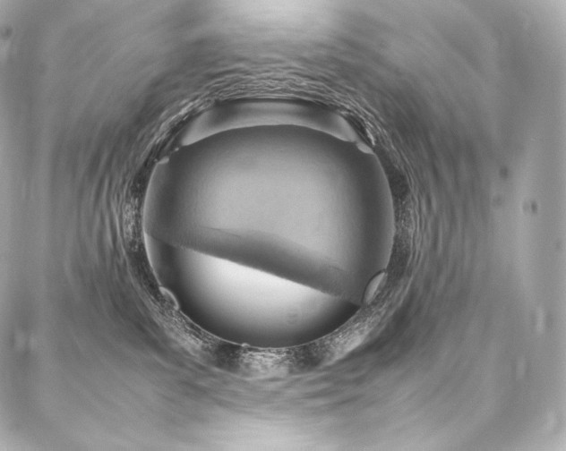 X0000088150139200705141558