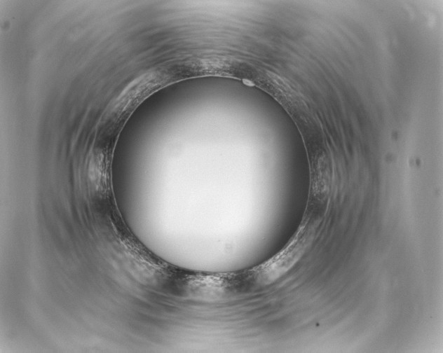 X0000088150140200705141558