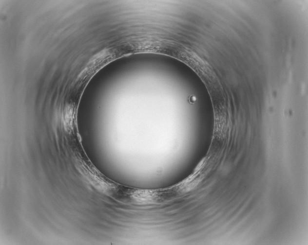 X0000088150142200705141558