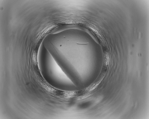 X0000088150143200705141558