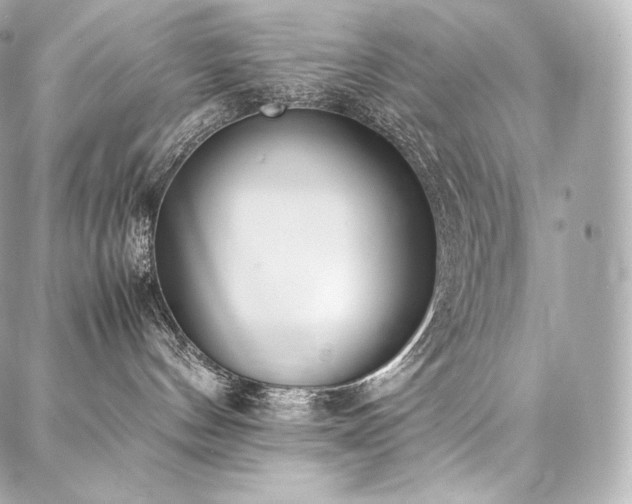 X0000088150144200705141558