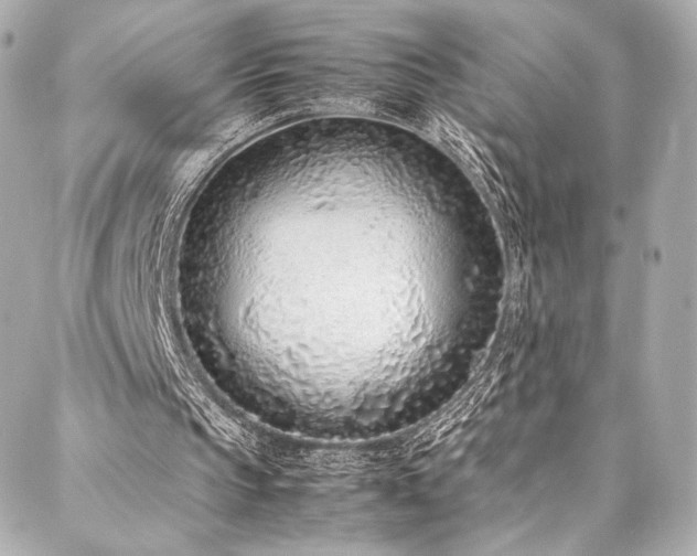 X0000088150145200705141557