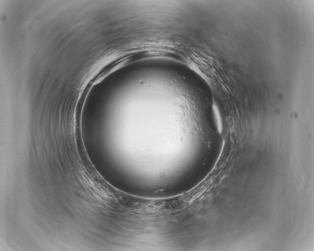 X0000088150148200705141557