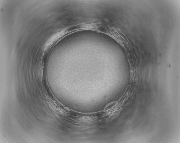 X0000088150149200705141557