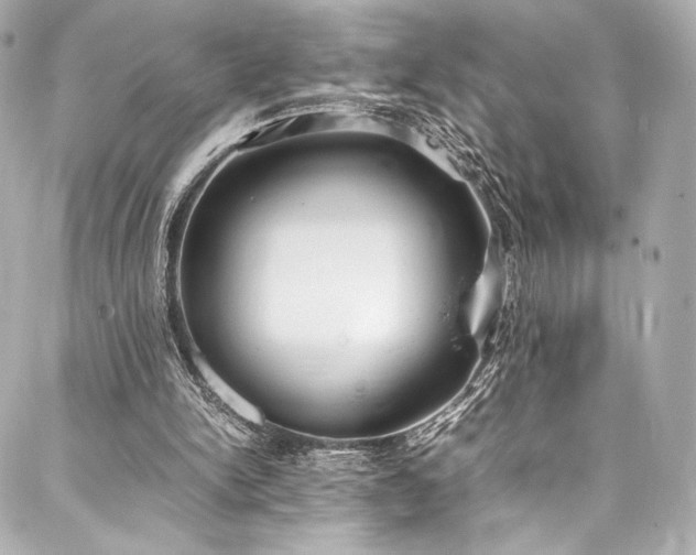 X0000088150150200705141557