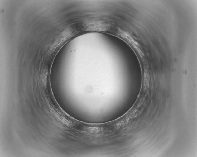 X0000088150153200705141557