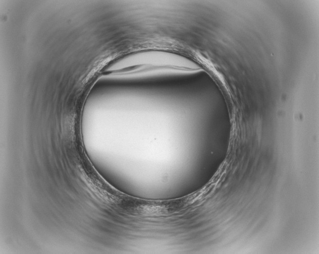 X0000088150154200705141557