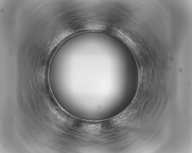 X0000088150155200705141557