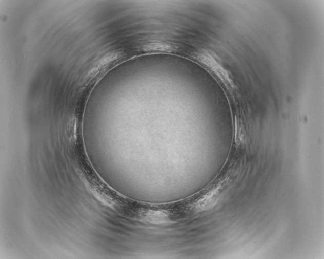 X0000088150157200705141557