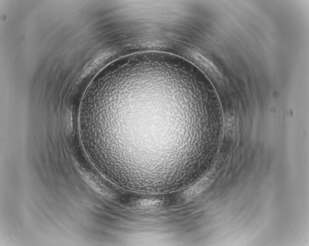 X0000088150158200705141557